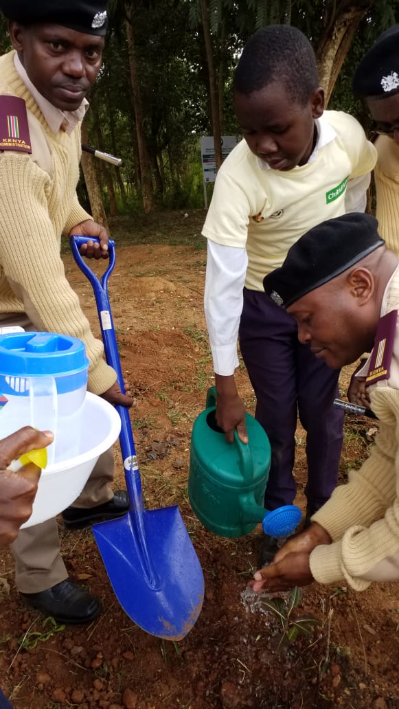 Pictures during the event