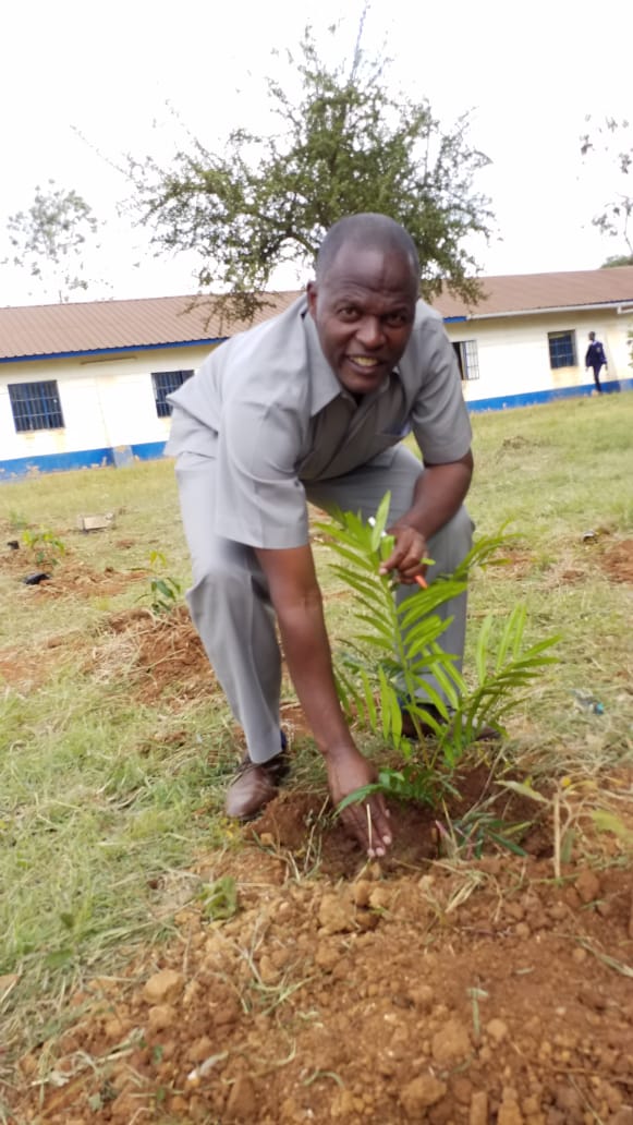 Pictures during the event