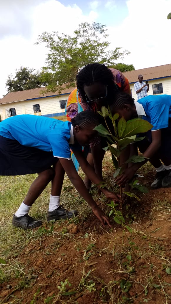 Pictures during the event