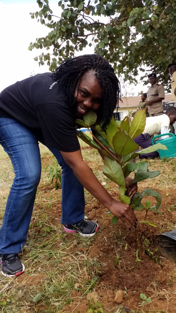 Pictures during the event